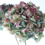 ［ドライフラワー］マジックアワーに染まる紫陽花