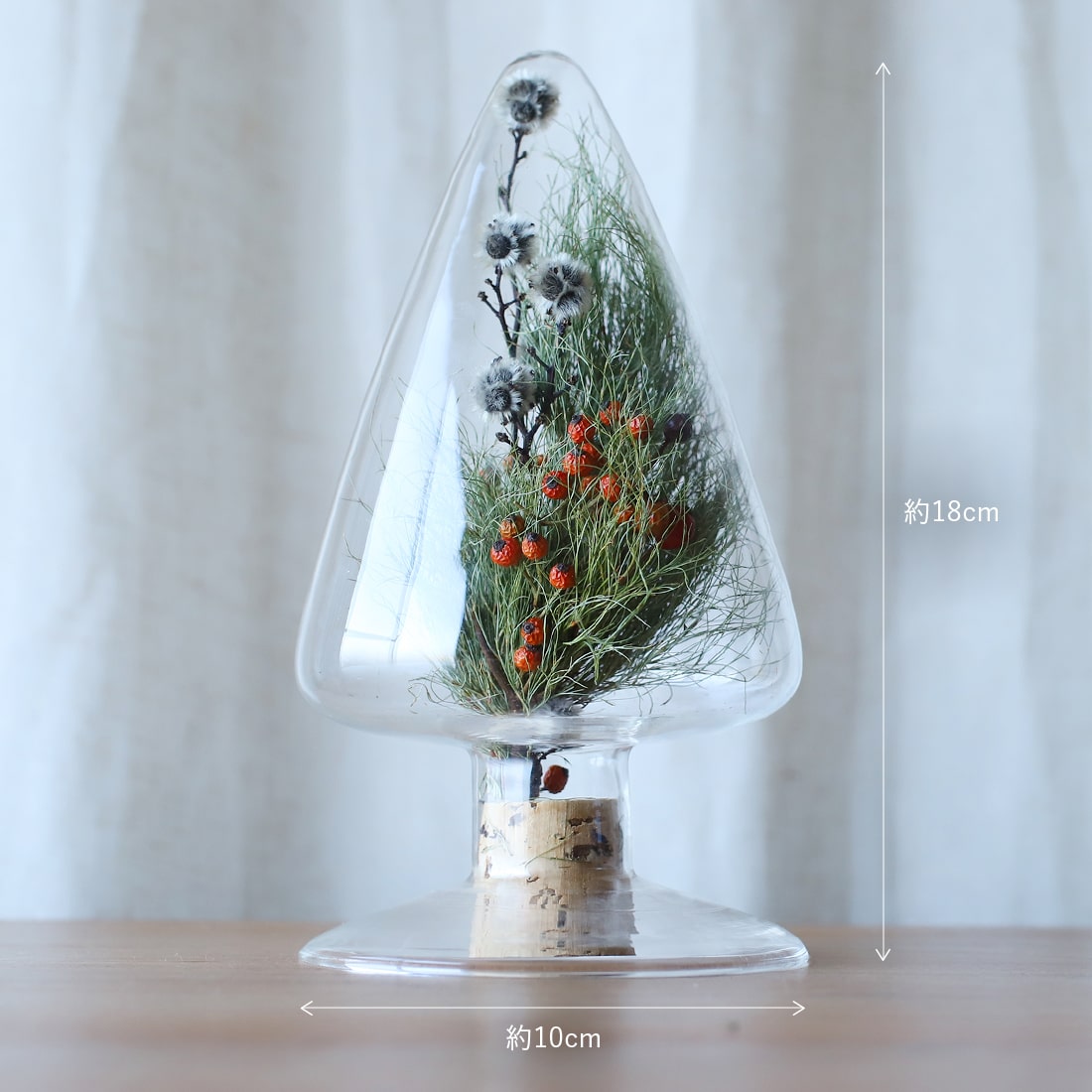 クリスマス限定】ガラス標本のクリスマスツリー - 土と風の植物園