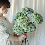 ［ドライフラワー］秋色紫陽花 西安
