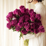 ［ドライフラワー］芍薬