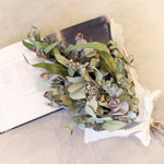 飾るだけでサマになるドライフラワーセット（5種類のユーカリ）＜緑の五重奏＞