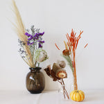 ［ドライフラワー］プロテア コンパクタ