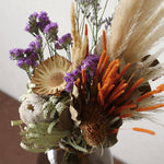 ［ドライフラワー］プロテア コンパクタ