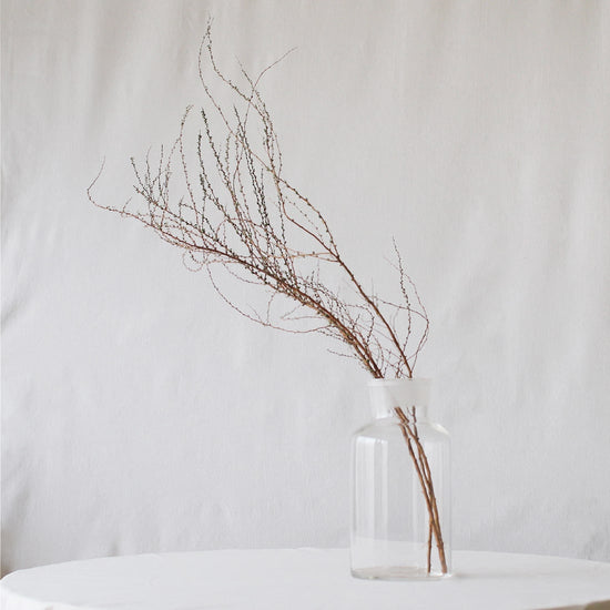 ［ドライフラワー］雪柳