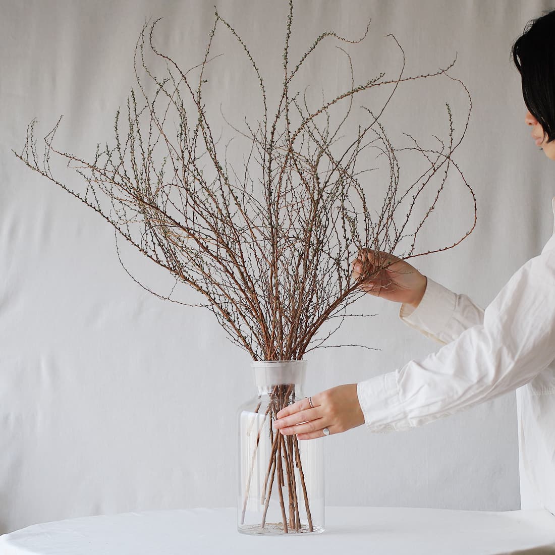 ドライフラワー］雪柳 商品ページ - 土と風の植物園