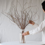 ［ドライフラワー］雪柳