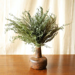 ［ドライフラワー］ベトナム タバリアファーン