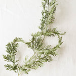 ［ドライフラワー］ベトナム タバリアファーン