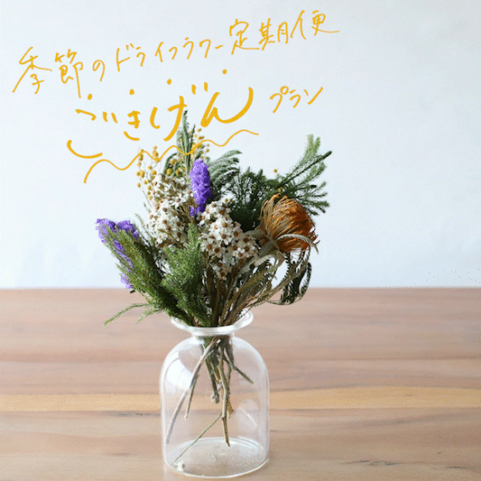 季節のドライフラワー定期便＜ごきげんプラン＞２ヶ月に１度のお届け