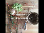 【ハロウィン限定】＜箱庭のワルツ＞赤い実の小さな花かご