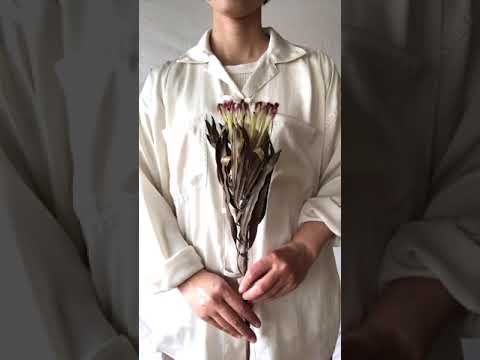 sold ホワイトプロテア置き型スワッグ① e345dbd94335d57b4b26209e2061d8