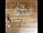 ＜baby's breath＞カスミソウのスワッグ