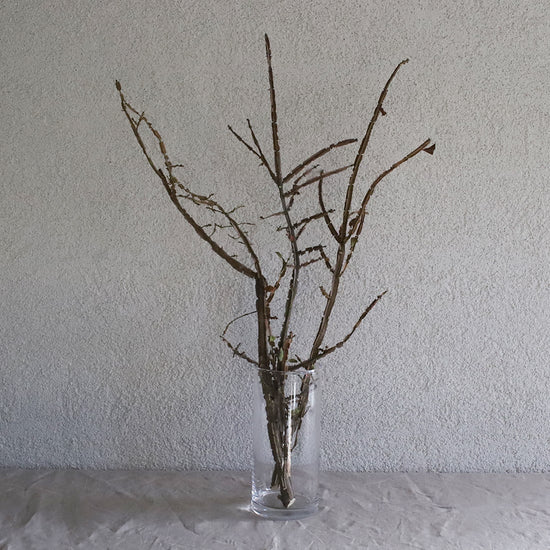 ［ドライフラワー］錦木