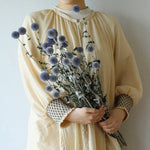 ［ドライフラワー］ルリ玉アザミ ベッチーズブルー