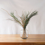 飾るだけでサマになるドライフラワーセット（雲竜柳・アレカヤシ・エミューファン）