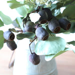 飾るだけでサマになるドライフラワーセット（5種類のユーカリ）＜緑の五重奏＞