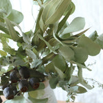 飾るだけでサマになるドライフラワーセット（5種類のユーカリ）＜緑の五重奏＞